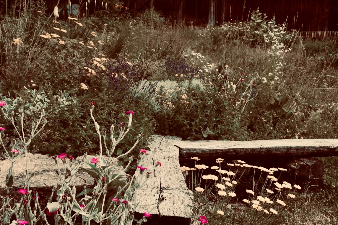 Naturnahe Gartengestaltung à la NATUR · GARTEN · FREISiNN